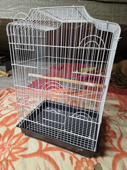 Cage à oiseaux 