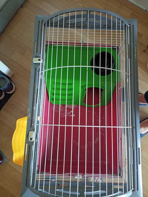 Cage pour lapin nain avec accessoires