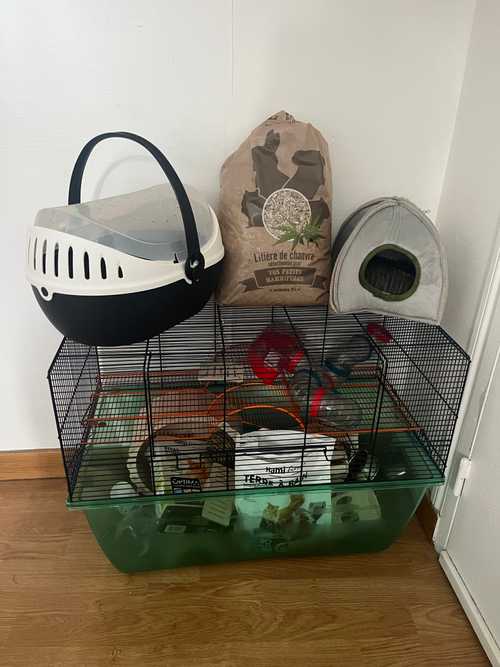 Cage et accessoires pour hamster