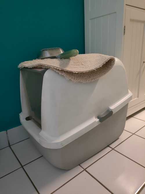 Maison pour toilette (chat) avec pelle