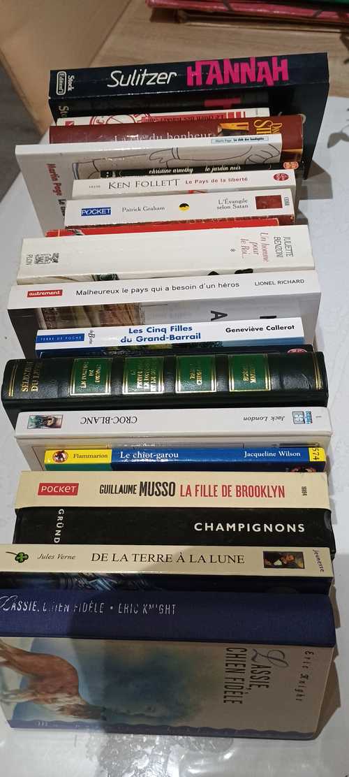 Lot de livres divers 